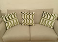 Scatter Cushions